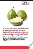 Montaje De Una Planta Procesadora De Guayaba Manzana Y Guayaba Pera