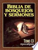 Biblia De Bosquejos Y Sermones Rv 1960 Apocalipsis