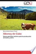 Siboney De Cuba