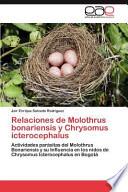 Relaciones De Molothrus Bonariensis Y Chrysomus Icterocephalus