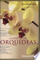 Cultivo De Orquideas / Cultivation Of Orchids