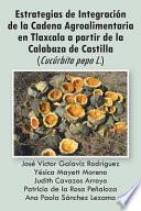 Estrategias De Integracion De La Cadena Agroalimentaria En Tlaxcala A Partir De La Calabaza De Castilla (cucurbita Pepo L.)