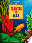 Plantas Debajo Del Mar