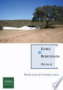 Flora De Burguillos (sevilla): Bases Para Su Conservación