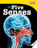 Los Cinco Sentidos (the Five Senses)