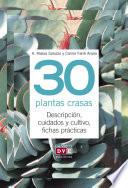 30 Plantas Crasas