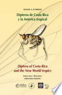 Diptera Of Costa Rica And The New World Tropics