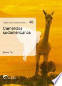 Camélidos Sudamericanos