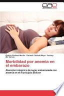 Morbilidad Por Anemia En El Embarazo