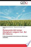 Respuesta Del Sorgo (sorghum Vulgare Var. Bj 83 Caloro)