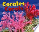 Corales/corals