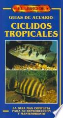 Guías De Acuario Cíclidos Tropicales