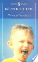 No Hay Padres Perfectos