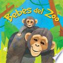 Bebés Del Zoo