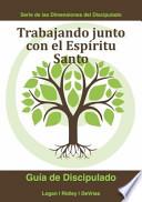 Trabajando Junto Con El Espiritu Santo (vineyard)