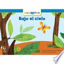 Bajo El Cielo = Under The Sky