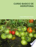 Curso Basico De Hidroponia