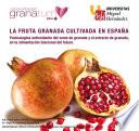 La Fruta Granada Cultivada En España Punicalagina Antioxidante Del Zumo De Granada Y El Extracto De Granada En La Alimentación Funcional Del Futuro
