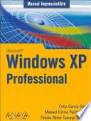 Manual Imprescindible De Windows Xp Professional