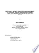 Obra, Poetica, Retorica, Lexicografia, Y Filosofia Moral De Alfonso De Palencia. Ediciones Criticas Del De Perfectione Militaris Triumphi Y La Perfecion Del Triunfo (spanish Text, Palencia Alfonso