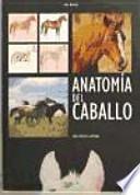 Anatomía Del Caballo