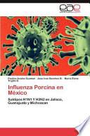 Influenza Porcina En México