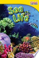 La Vida Marina (sea Life)