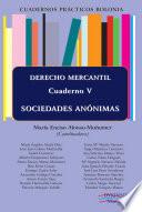 Cuadernos Prácticos Bolonia. Derecho Mercantil. Cuaderno V. Sociedades Anónimas