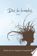 Días De Bromelias