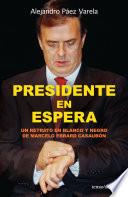 Presidente En Espera