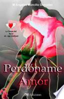 Perdoname Amor