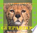 El Gurpardo (the Cheetah)