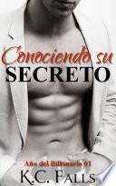 Año Del Billonario Vol. #1 : Conociendo Su Secreto