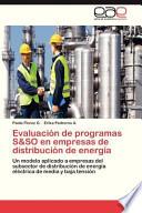 Evaluación De Programas S&so En Empresas De Distribución De Energía