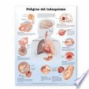 Dangers Of Smoking Anatomical Chart / Peligros Del Tabaquismo