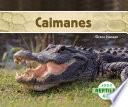 Caimanes