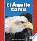 El Aguila Calva