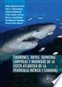 Tiburones, Rayas, Quimeras, Lampreas Y Mixínidos De La Costa Atlántica De La Península Ibérica Y Canarias