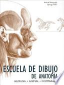 Escuela De Dibujo De Anatomía