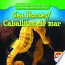 Sea Horses/caballitos De Mar