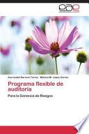 Programa Flexible De Auditoría