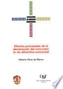 Efectos Procesales De La Declaración Del Concurso: La Vis Attractiva Concursal