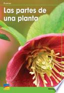 Las Partes De Una Planta