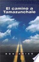 El Camino A Tamazunchale