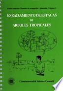 Entraizamiento De Estacas De Arboles Tropicales