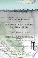 Violencia Juvenil Y Acceso A La Justicia.