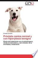 Próstata Canina Normal Y Con Hiperplasia Benign