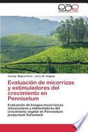 Evaluación De Micorrizas Y Estimuladores Del Crecimiento En Pennisetum