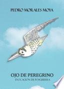 Ojo De Peregrino