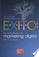 Exito Suestrategia De Marketing Digital